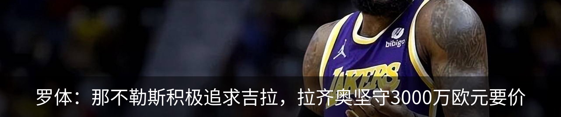 新闻动态
